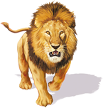 company logo