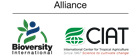 company logo company logo